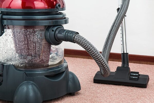 How to clean your home's carpets when pets are present